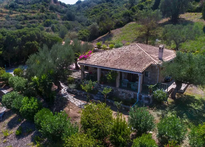 Collina