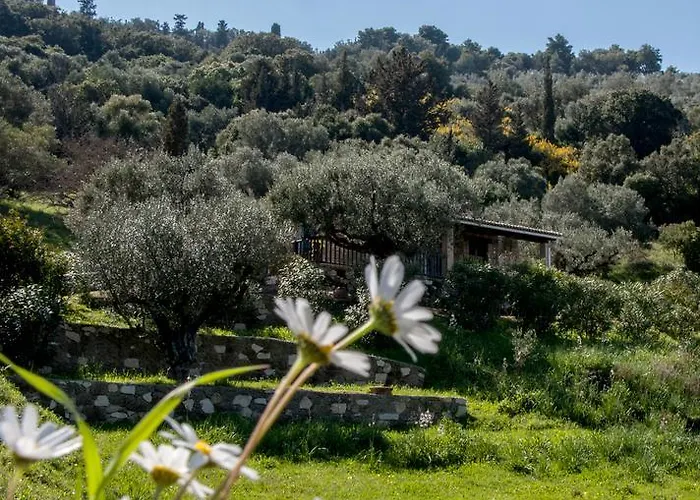 Collina