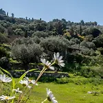 Collina