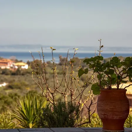 아파트 Collina Vasilikí