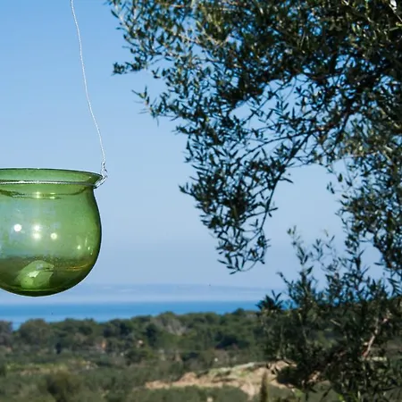 Apartmán Collina Vasilikí